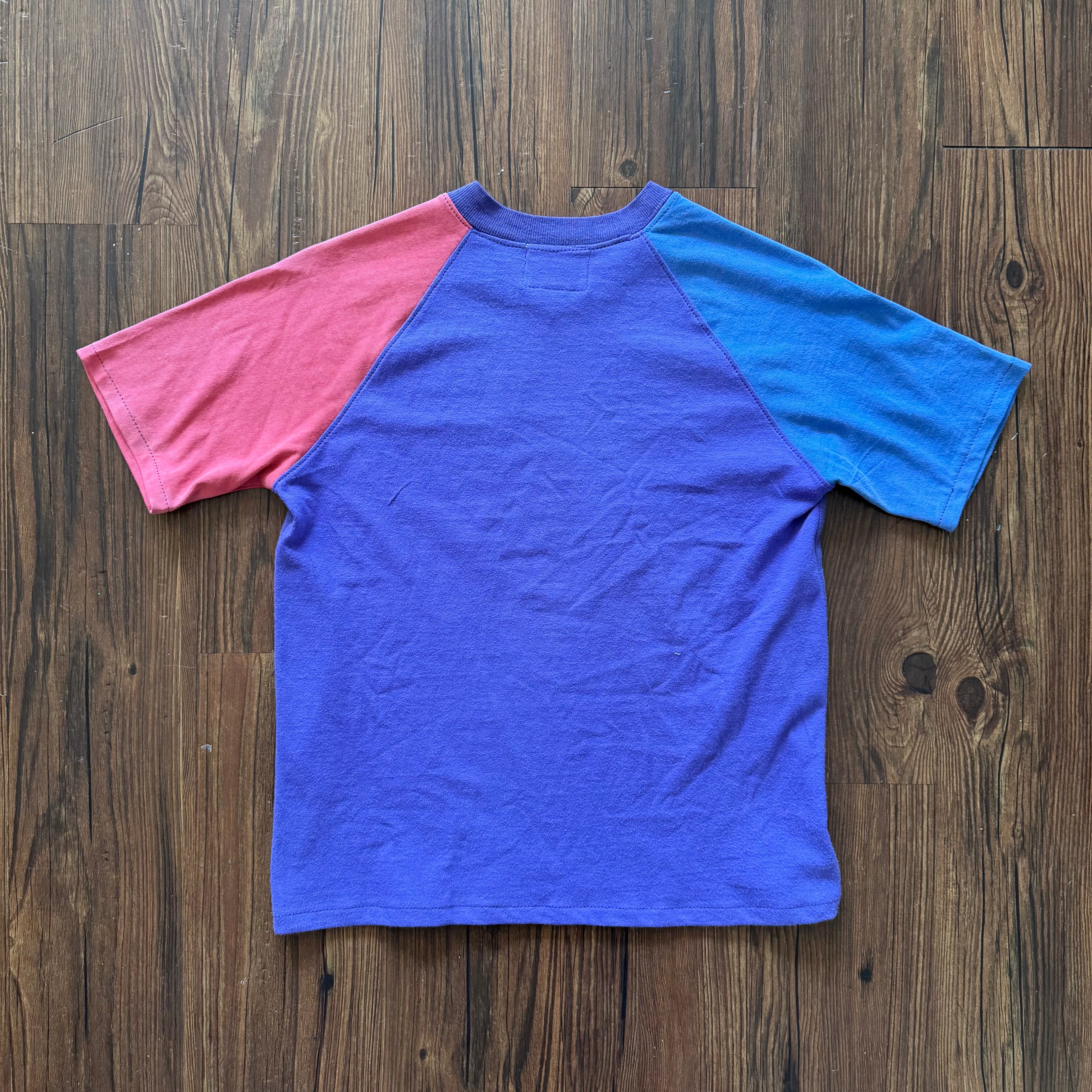 Monarchs Deconstructed Raglan (Small)